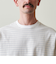 ＜Steven Alan＞ 21MVS ボーダー ショートスリーブ Tシャツ BOLD