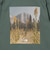 ＜THE NORTH FACE＞フラッシュドライ ピクセル プラント コットン Tシャツ