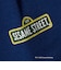【別注】＜SESAME STREET＞裏毛 プルオーバー / トレーナー / キッズ  140cm-150cm
