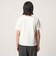 USAコットン天竺 クルーネックTシャツ ＜A DAY IN THE LIFE＞