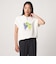 コットン フルーツプリントTシャツ ＜A DAY IN THE LIFE＞