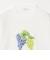 コットン フルーツプリントTシャツ ＜A DAY IN THE LIFE＞