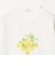 コットン フルーツプリントTシャツ ＜A DAY IN THE LIFE＞
