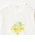コットン フルーツプリントTシャツ ＜A DAY IN THE LIFE＞