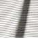 ボーダーTシャツ＋キャミソール セット / キッズ 140cm-160cm