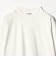 クリアコットン ジャケット Tシャツ 抗菌・防臭機能付き