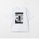 【別注】＜WILLIAM KLEIN＞クルーネック 半袖 Tシャツ