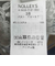 《セットアップ対応》ウォッシャブルBrocheレース2WAYブラウス