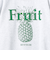 【FRUIT OF THE LOOM】FTL 25FW PRINT SWEAT3　裏起毛プリントスウェット