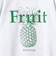 【FRUIT OF THE LOOM】FTL 25FW PRINT SWEAT3　裏起毛プリントスウェット