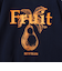 【FRUIT OF THE LOOM】FTL 25FW PRINT SWEAT3　裏起毛プリントスウェット