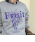 【FRUIT OF THE LOOM】FTL 25FW PRINT SWEAT3　裏起毛プリントスウェット