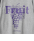 【FRUIT OF THE LOOM】FTL 25FW PRINT SWEAT3　裏起毛プリントスウェット