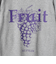 【FRUIT OF THE LOOM】FTL 25FW PRINT SWEAT3　裏起毛プリントスウェット
