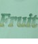 【FRUIT OF THE LOOM】19/-スラブ天竺FruitロゴＴ