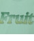 【FRUIT OF THE LOOM】19/-スラブ天竺FruitロゴＴ