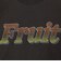 【FRUIT OF THE LOOM】19/-スラブ天竺FruitロゴＴ