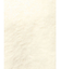 モヘアタッチシャギーショートニットトップス【WEB限定】