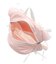 Ribbon Daypack