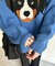 DOGジャガードBIGニット