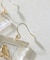 【ear PAPILLONNER】ピクチャーフレームピアス