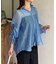 ラメワッシャー袖シャーリングシアーシャツ