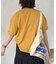 ベーシックカラーピグメントT