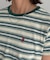【U.S. POLO ASSN.】アソートクロップドT