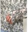 【Loungedress】プリントシアートップス