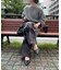 レースドット切替パンツ