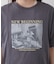 【staff made】接触冷感！アソート転写シルケットTシャツ