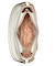 DELTONA SHOULDER