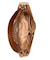 KALINE SHOULDER
