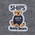 SHIPS Colors:〈洗濯機可能〉Teddybear(R) ジャカード ニット◇