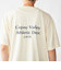SHIPS: UNDYED オーガニック プリント Tシャツ