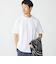 SHIPS: リンクス ジャカード リーフ Tシャツ