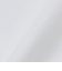 SHIPS: セミワイド スムース テックス ブロードシャツ