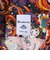 Southwick: Gate Label COLONIAL PRINT ショートスリーブ シャツ