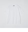 SHIPS: ALBINI クルーネック 無地 Tシャツ