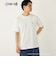 SHIPS Colors:バーバパパ プリント Tシャツ◇