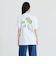 【City Ambient Products別注】Ophrys: Ambient Express Tee