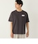 SHIPS Colors:Sealtest(R) ICE CREAM プリント フェード Tシャツ