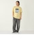 SHIPS Colors:Sealtest(R) ICE CREAM プリント Tシャツ