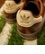 【SHIPS EXCLUSIVE】adidas: GAZELLE INDOOR LEATHER