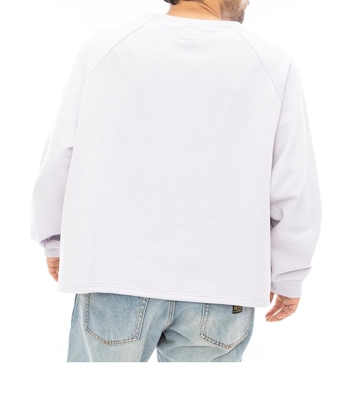24AW トランスポートTRANSPORT 月桂樹ローレル スウェット OUTLET】RVCA メンズ EASTERN TRUNK 18 ボードショーツ/サーフ