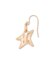 スターモチーフフックピアス