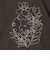 ボタニカルエンブロイダリー Tシャツ