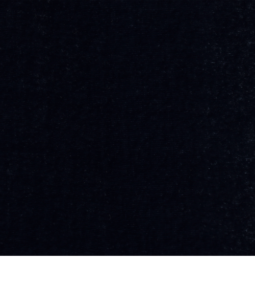 レーヨンシルクベルベット ホルターネックブラウス｜トゥモロ－ランド