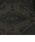 【WEB先行予約・別注】PENDLETON ウールブランケット ジャケット