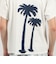 erEvan GIGARO TEE コットン Tシャツ